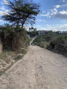 Picture shows forest land in Rongai area
