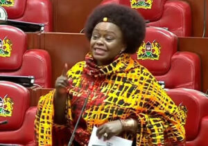 Millie Odhiambo speaking ib parliament