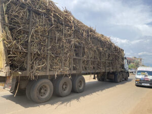 A truck transporting sugarcane from farm along Kibos Road