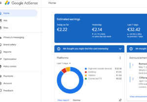 Screenshot of Google AdSense earnings