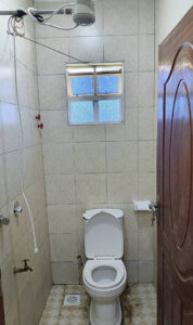 Inside the Toilet with a hot shower