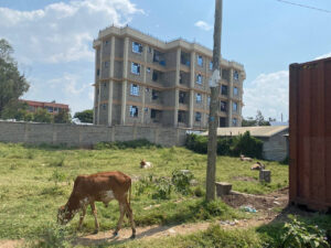 This apartment is located near Riverside Academy from Kamakaa stage, it conist of good 1& 2 bedroom units
